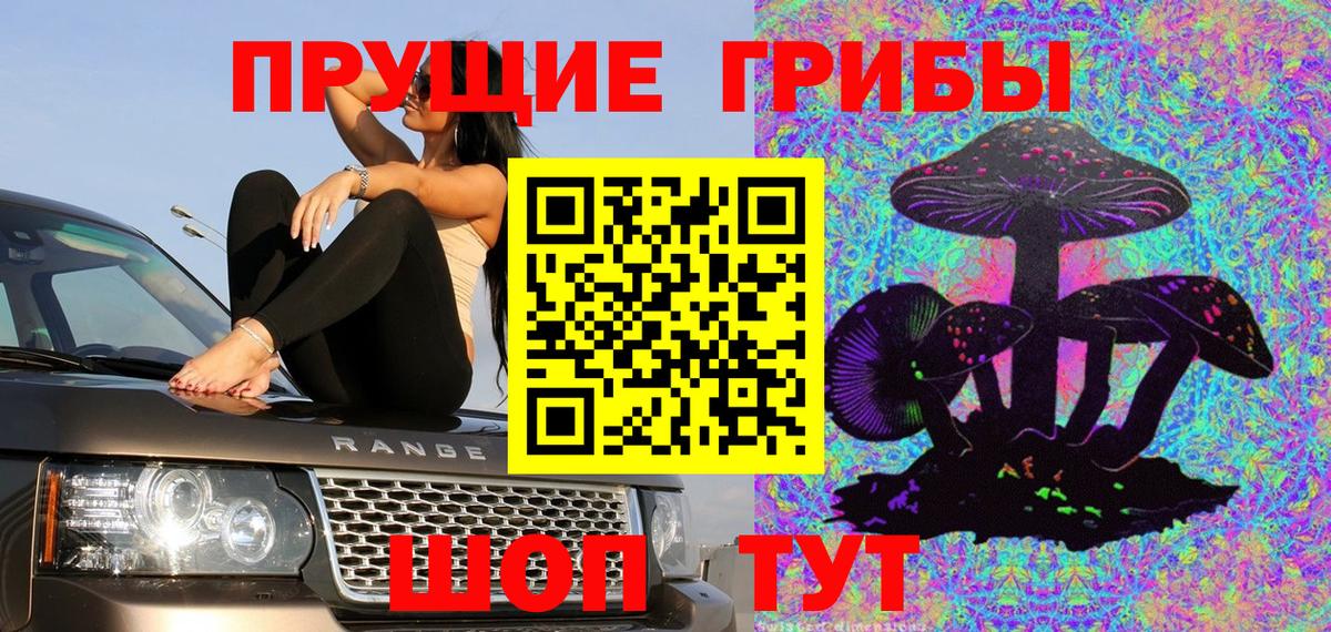 Псилоцибиновые грибы Psilocybe Вязьма